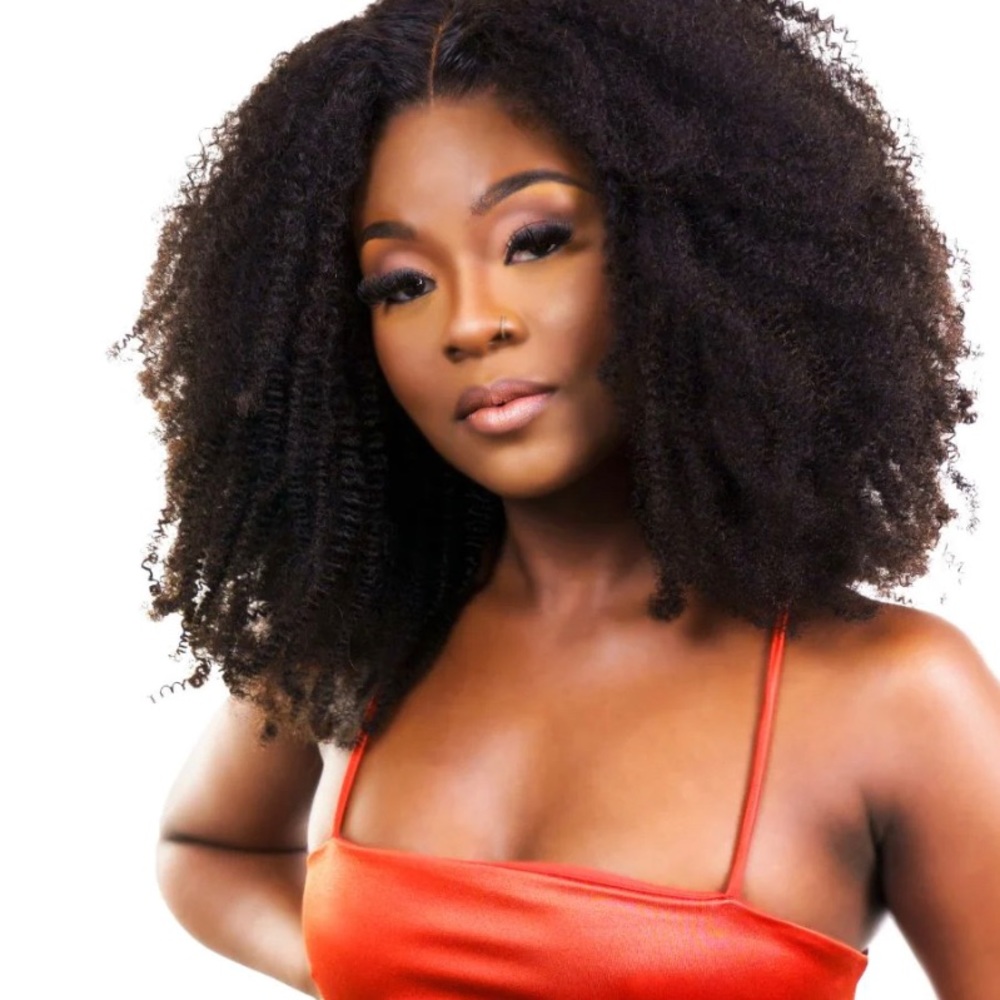 20” Afro Kinky Wig